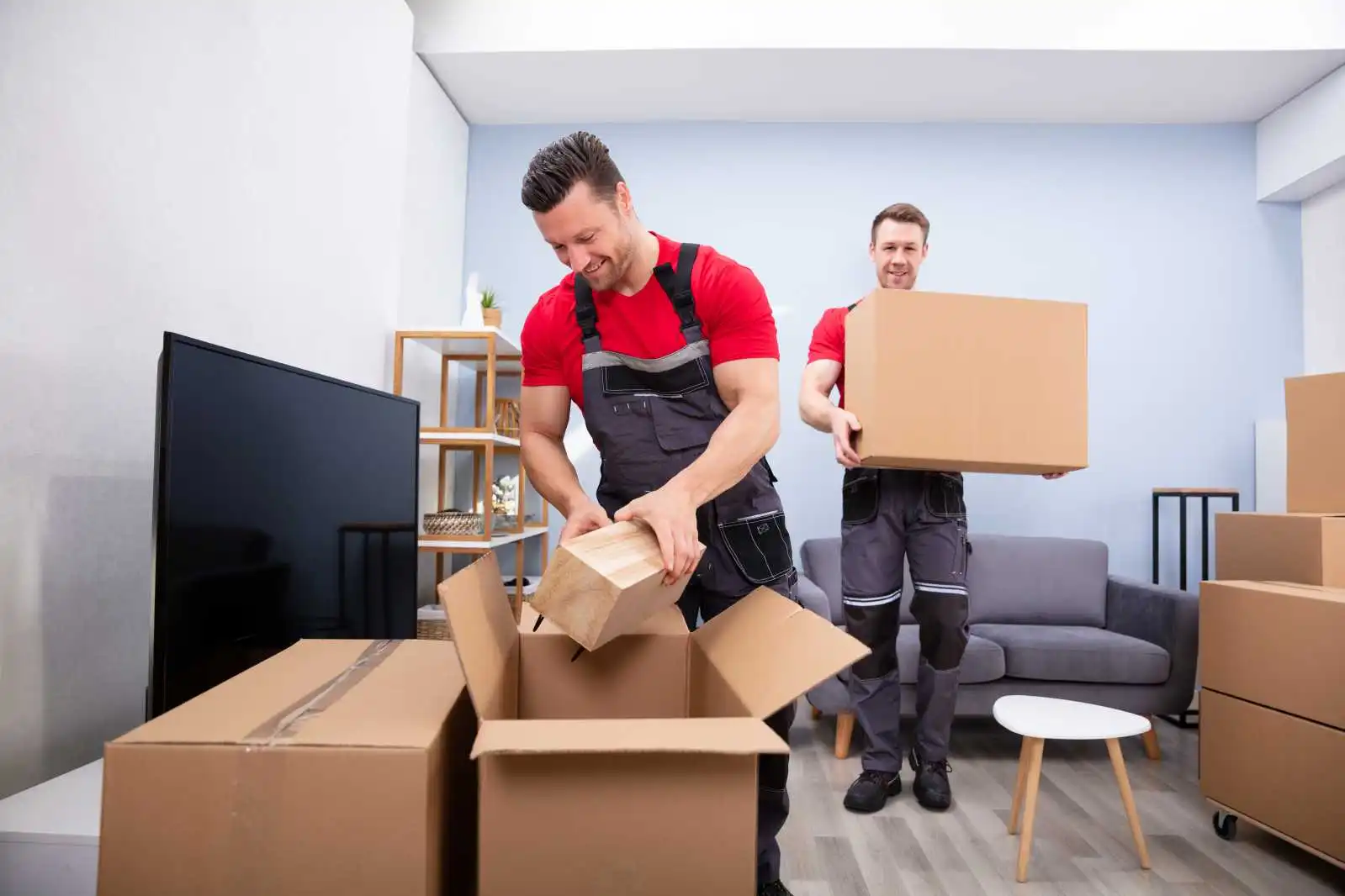 Professional Packing Services